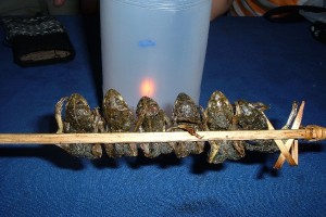 Frogs on a stick