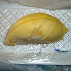 050427-durian-fruit