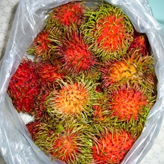 Rambutans 050429-rambutan