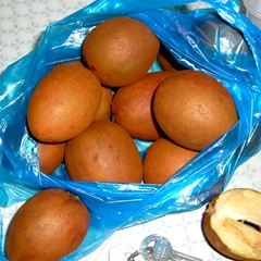Sapodillas 050506-bag-of-sapadillos