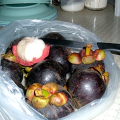 More mangosteens 050523-mangosteen-2