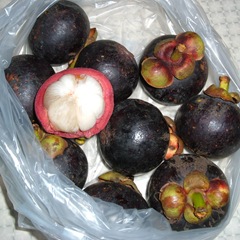 Some mangosteens 050523-mangosteen