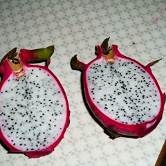 Dragonfruit 050527-dragon-fruit-inside