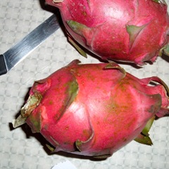 Dragonfruit 050527-dragon-fruit