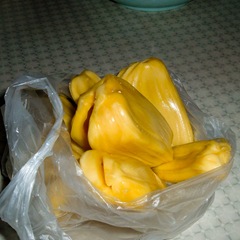 Jackfruit 050529-jack-fruit