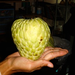 070820-custard-apples-2