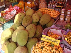 080208-jackfruit