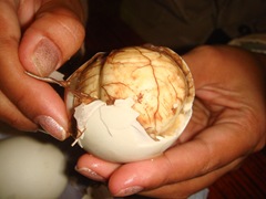 071229-balawt-partially-developed-eggs-white