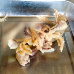 060406-chicken-head-feet-and-tendons