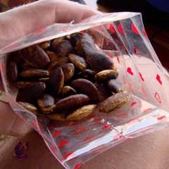 Inside the bag 070810-nuts-jabog