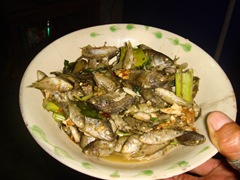 071013-cooked-fish
