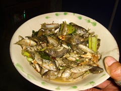 A simple dish 071013-cooked-fish