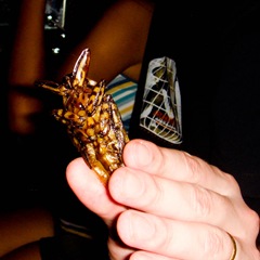 071226-water-cockroach