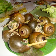 080127-snails