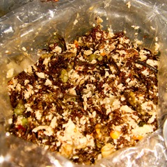 080510-miang-mot-daeng-ants-with-coconut